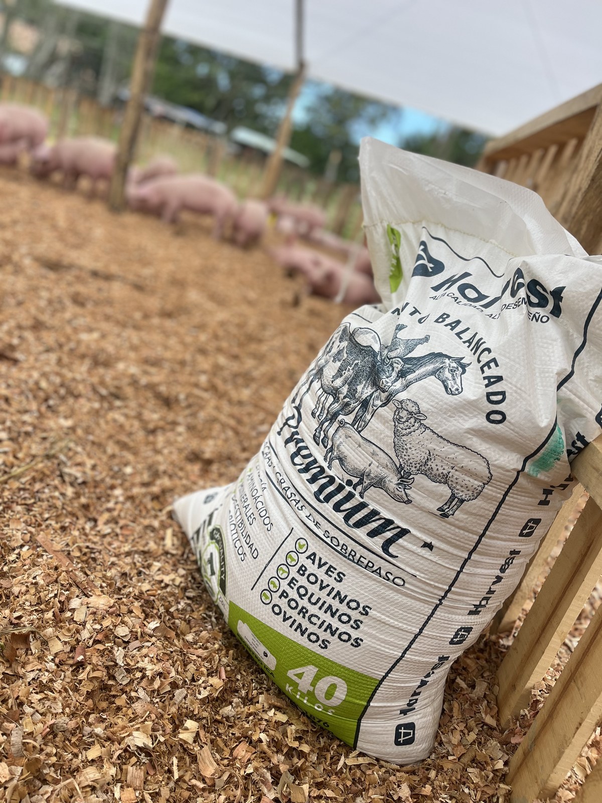 Bulto Harvest Feed en granja porcina