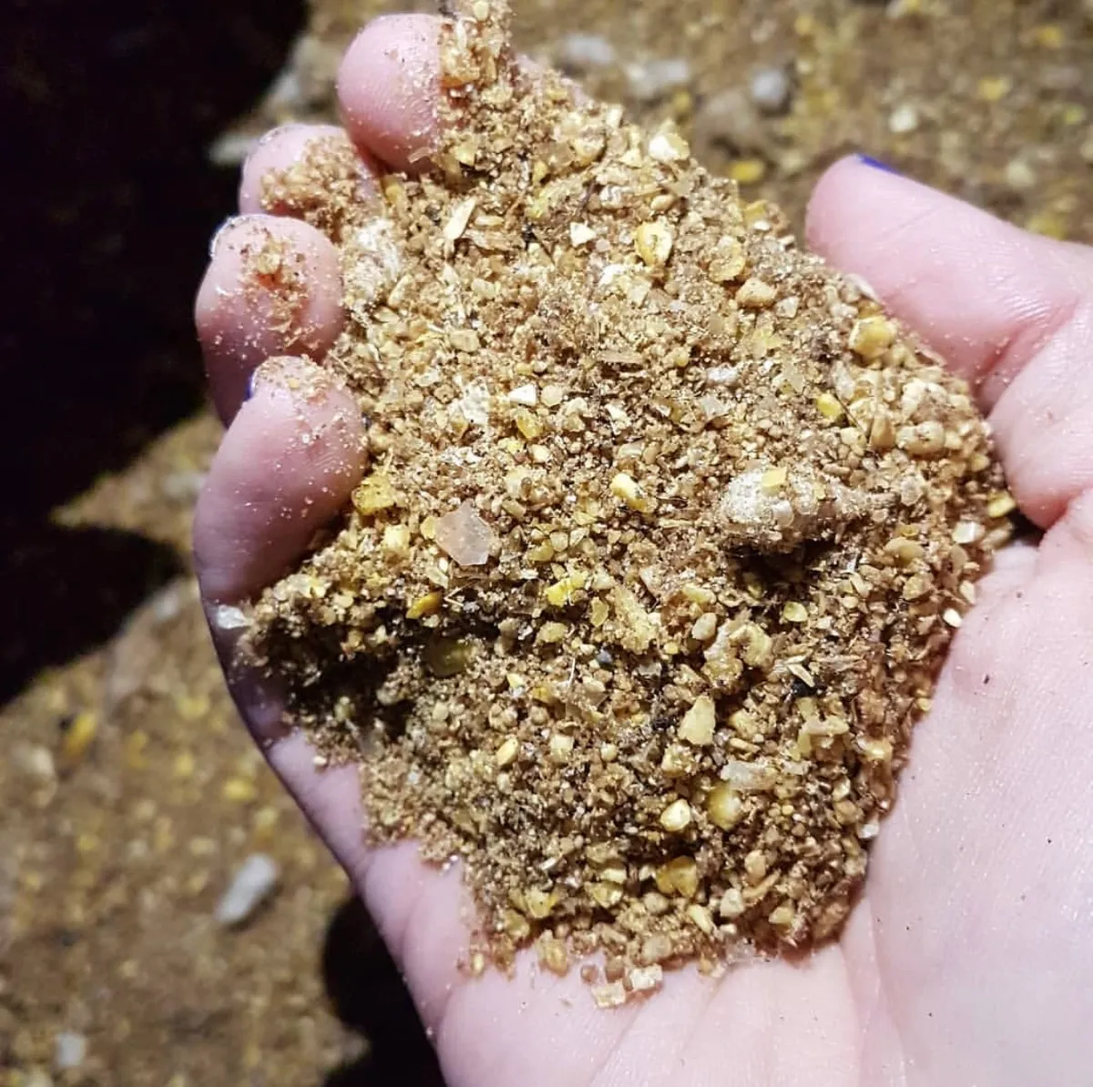 Textura de alimento en harina con particula molida visible
